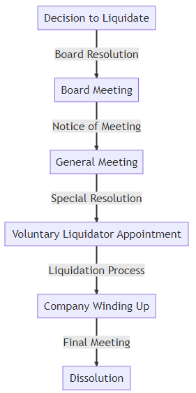 Voluntary Liquidation Process